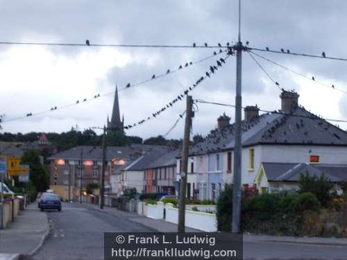 Crow City